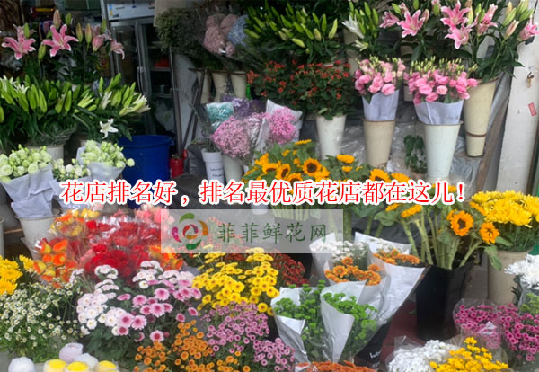 巴彦淖尔乌拉特前旗花店排名,巴彦淖尔乌拉特前旗最优质花店都在这儿!