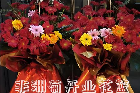 巴彦淖尔乌拉特前旗开业花篮